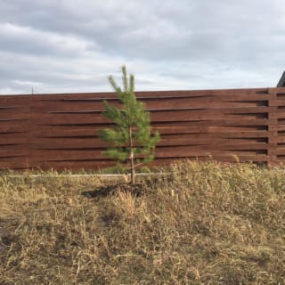 Заборы под ключ Заборы под ключ